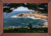 /album/fotogaleria-fotos-marinas/mg-2841-inpixio-640x480-jpg/